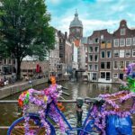 course-thuis-nederlands