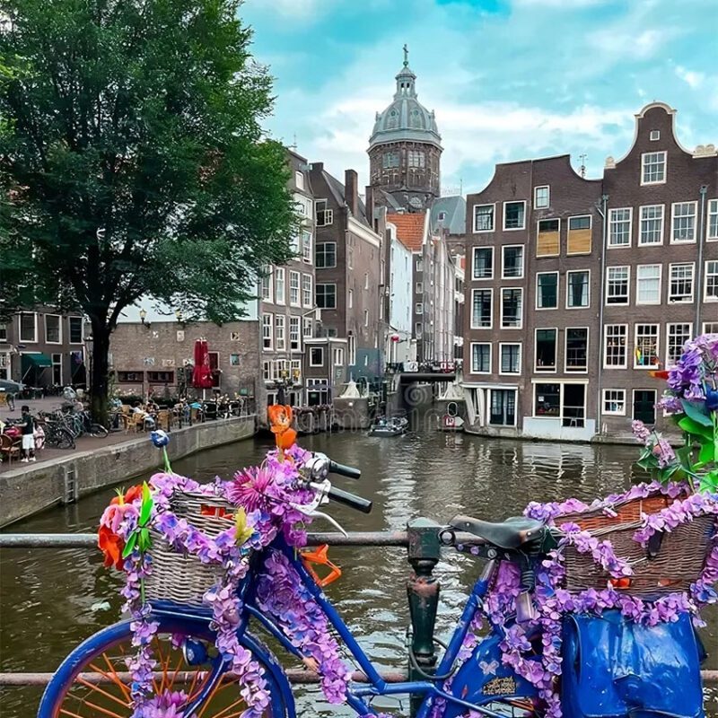 course-thuis-nederlands